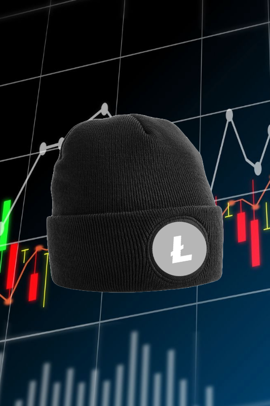 Litecoin Beanie